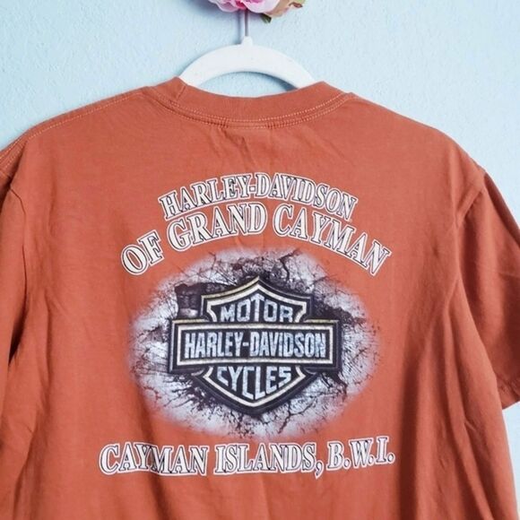 Harley Davidson‎ - Picture 6 of 6